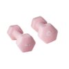 Neoprene Dumbbells 2kg (Pair)