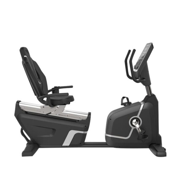 Recumbent Bike Elite